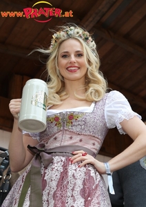 Wiener Wiesn 2017