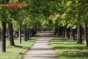 Herbst im Prater