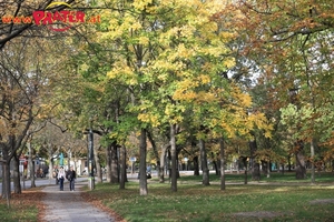 Herbst im Prater