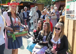 Steiermark-Wiesn