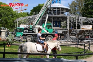 Frühling im Prater