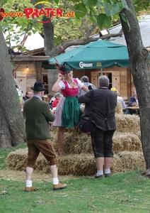 Wiener Wiesn 2017