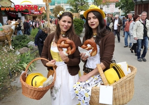 Wiener Wiesn 2017