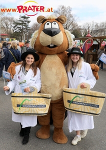 Steiermark Frühling in Wien