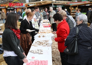 Steiermark Frühling in Wien