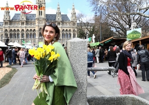 Steiermark Frühling in Wien