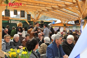 Steiermark Frühling in Wien