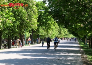 Frühling im Prater