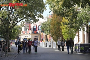 Herbst im Prater