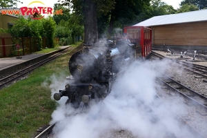 Liliputbahn unter Dampf