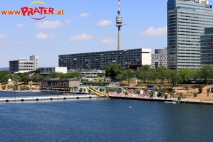 Summer in the City