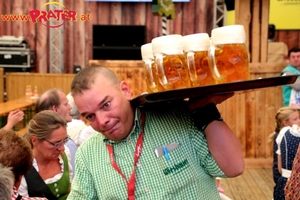 Steiermark-Wiesn