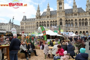 Steiermark Frühling in Wien