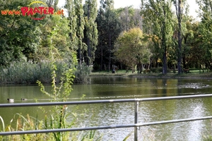 Herbst im Prater