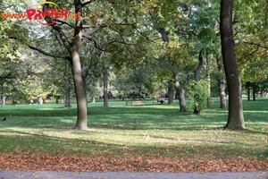 Herbst im Prater