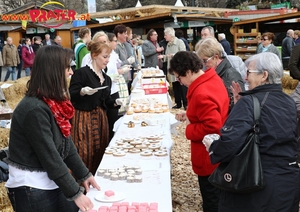 Steiermark Frühling in Wien