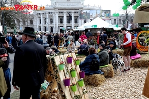 Steiermark Frühling in Wien