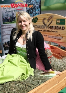 Steiermark Frühling in Wien