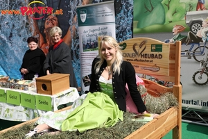 Steiermark Frühling in Wien