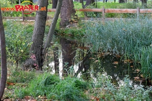 Herbst im Prater