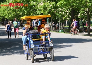 Frühling im Prater