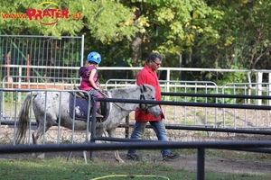 Herbst im Prater