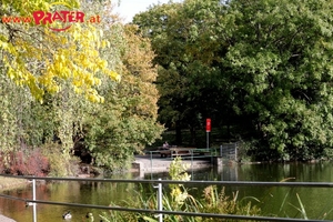 Herbst im Prater