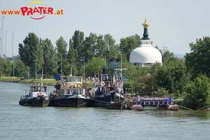Donaurundfahrt
