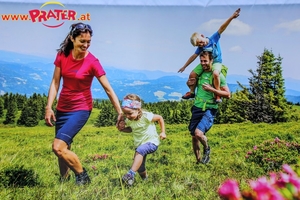 Steiermark Frühling in Wien