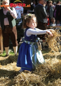 Steiermark-Wiesn