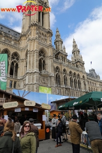 Steiermark Frühling in Wien