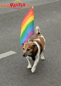 Regenbogenparade 2017