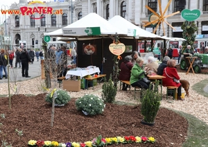 Steiermark Frühling in Wien