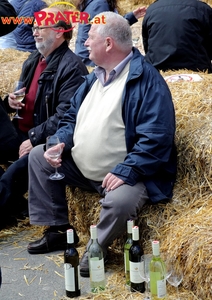 Steiermark Frühling in Wien