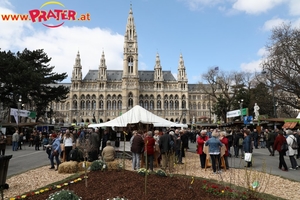 Steiermark Frühling in Wien