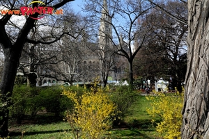 Steiermark Frühling in Wien