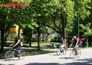 Frühling im Prater