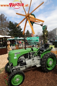 Steiermark Frühling in Wien