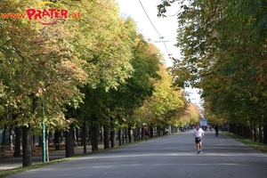 Herbst im Prater