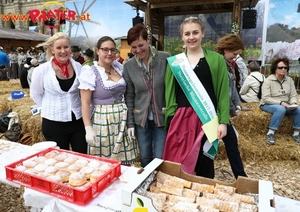Steiermark Frühling in Wien