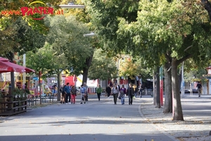 Herbst im Prater