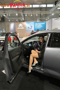 2018 - Autoshow