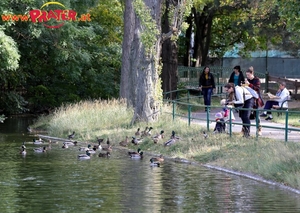 Herbst im Prater