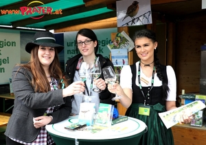 Steiermark Frühling in Wien