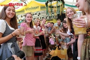 Steiermark-Wiesn