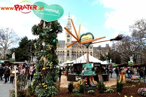 Steiermark Frühling in Wien