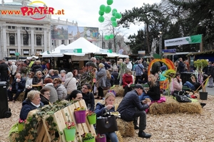 Steiermark Frühling in Wien
