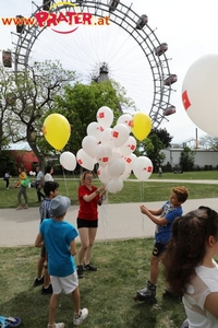 Maifest 2018