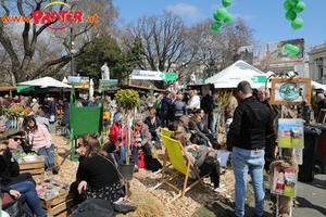 Steiermark Frühling in Wien