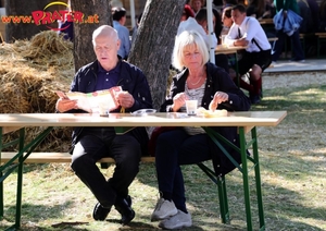 Wiener Wiesn